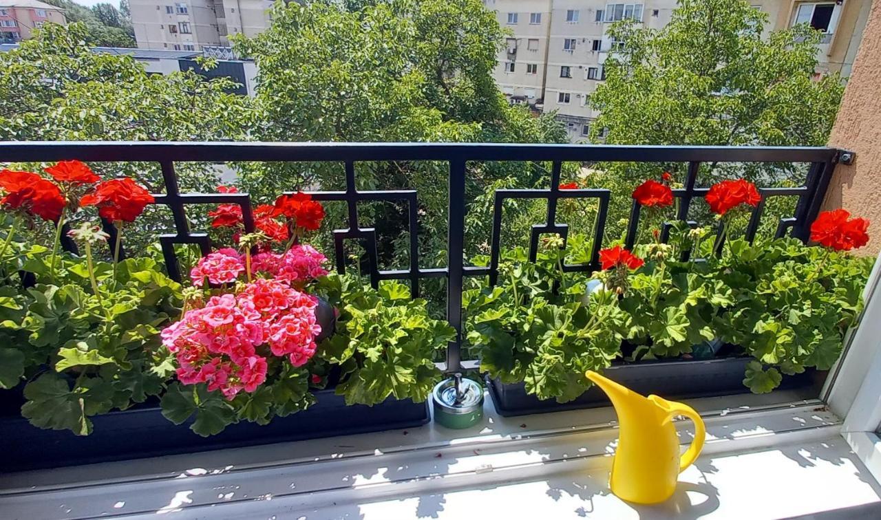 33 Coquette Apartment Бая-Маре Екстер'єр фото