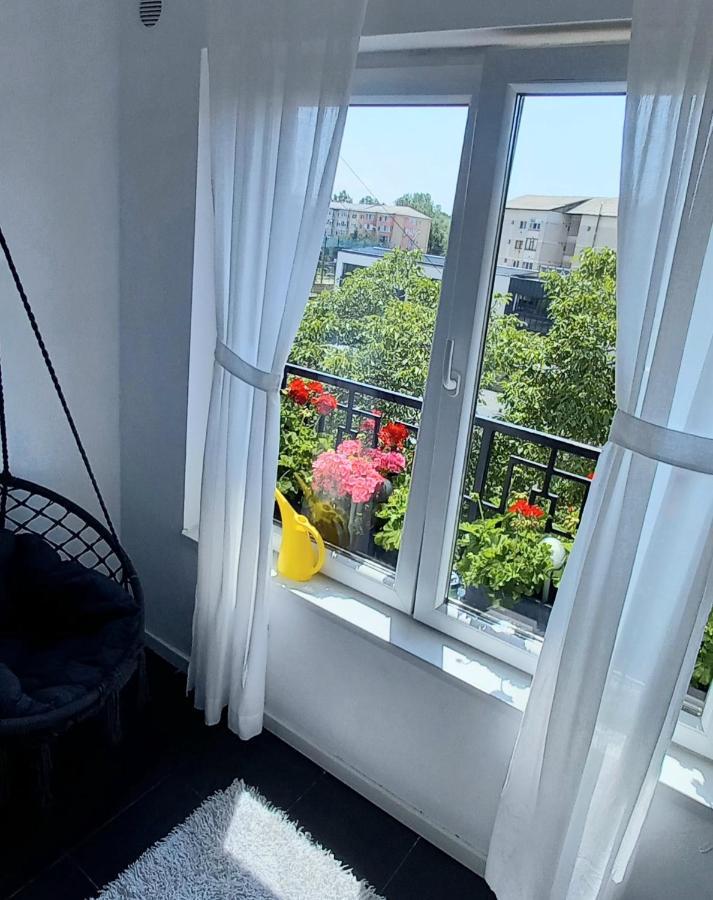 33 Coquette Apartment Бая-Маре Екстер'єр фото